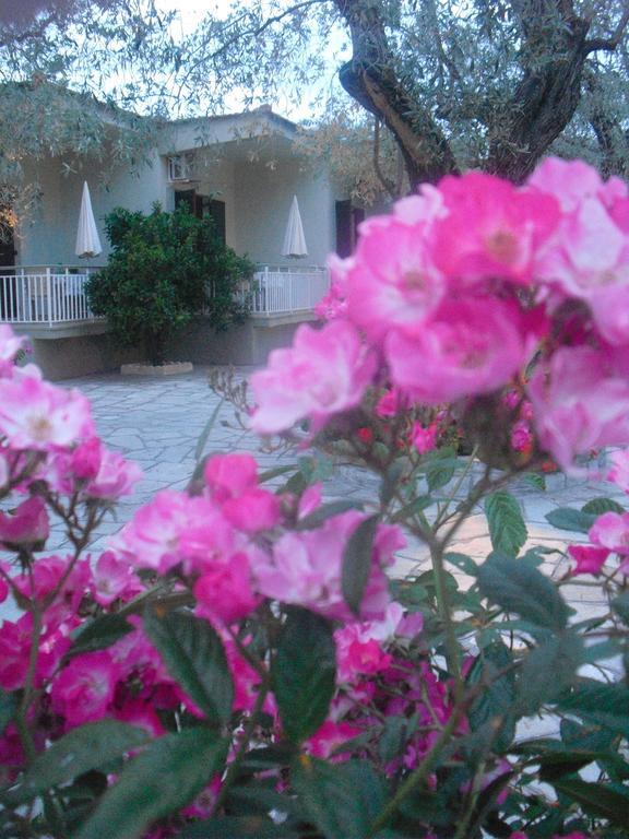 Guesthouse Irene Афисос Екстериор снимка